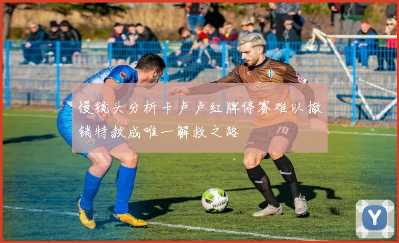 慢镜头分析卡卢卢红牌停赛难以撤销特赦成唯一解救之路